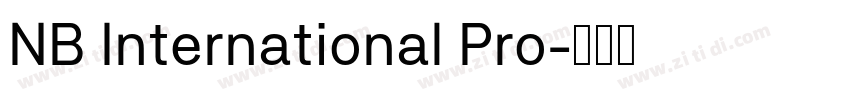 NB International Pro字体转换